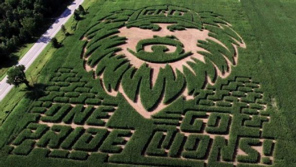 Dan Campbell corn maze [608x342]