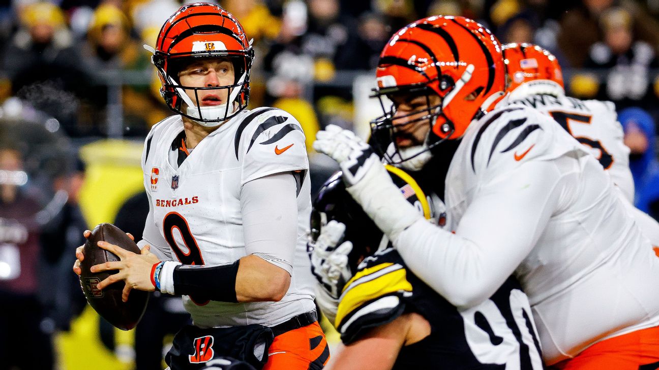 Bengals Gritty Win Over Steelers Keeps Playoff Hopes Alive