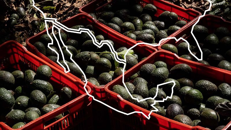 Por qué México exportó menos aguacate al Super Bowl 2025? - ESPN