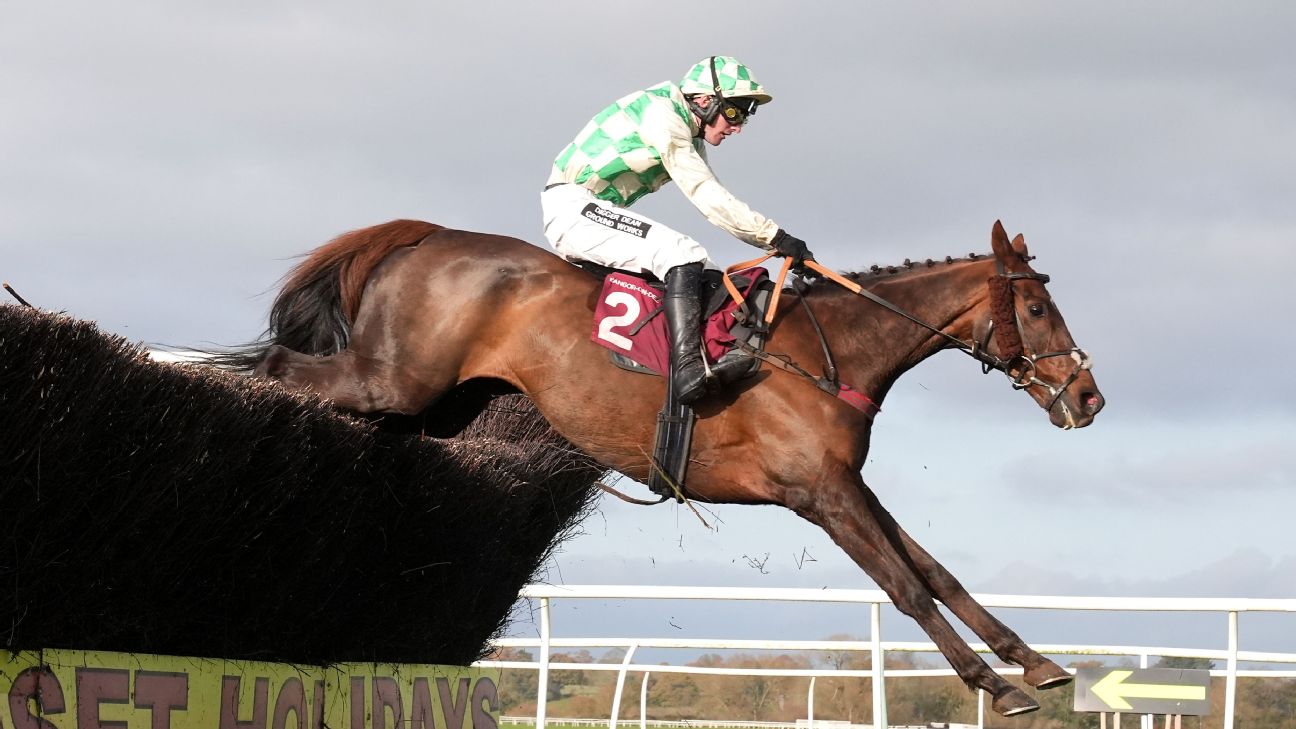 The Tragic Passing of Celebre d'Allen in Grand National
