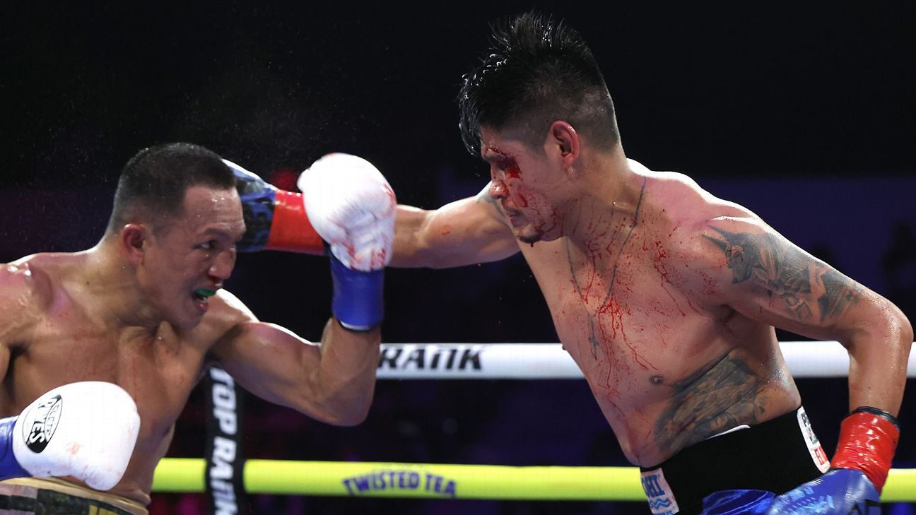 Emanuel Navarrete Secures Technical Decision Victory to Defend WBO Junior Lightweight Title