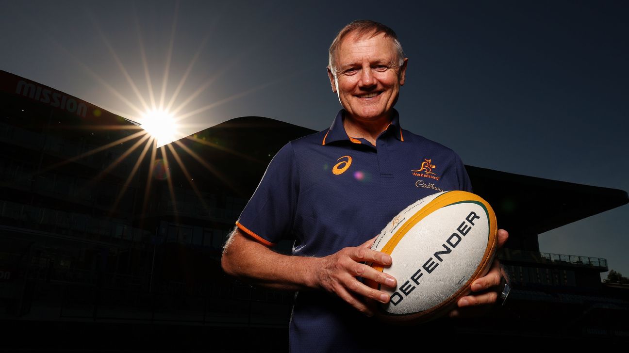 Joe Schmidt's Strategic Insights for Wallabies Against British & Irish Lions