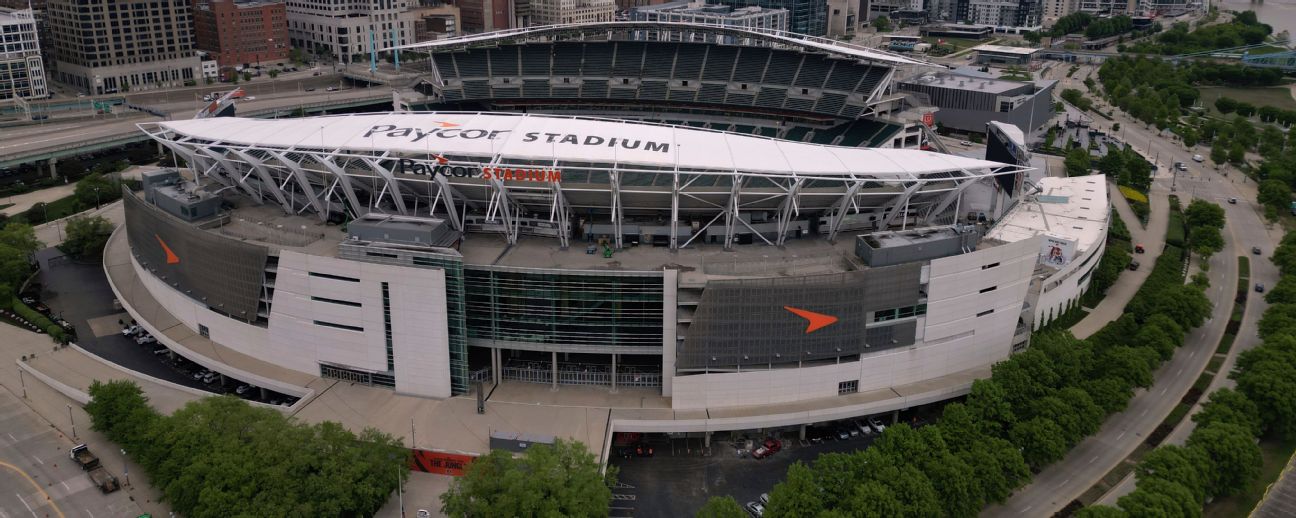 Bengals allege county consultant has Browns ties