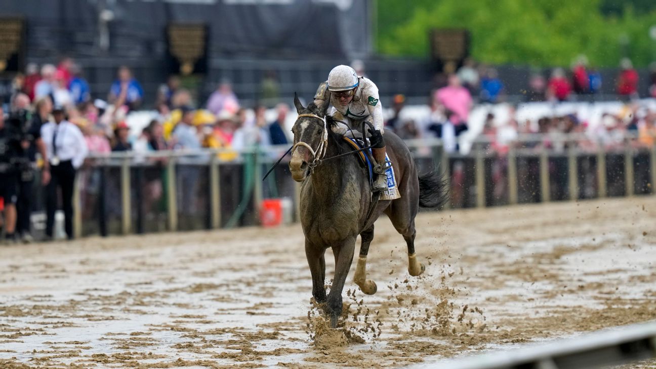 Margie's Intention Triumphs in Challenging Black-Eyed Susan at Pimlico