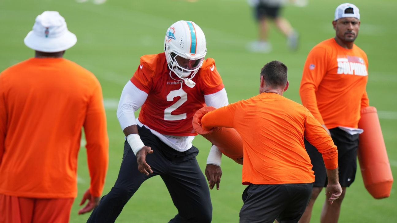 Miami Dolphins' Elite Pass-Rush Trio Poised to Dominate NFL Season