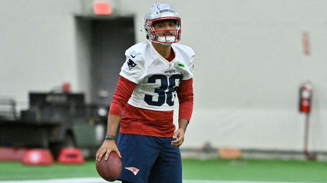 Andy Borregales: The New England Patriots' Hope for a Kicking Revolution