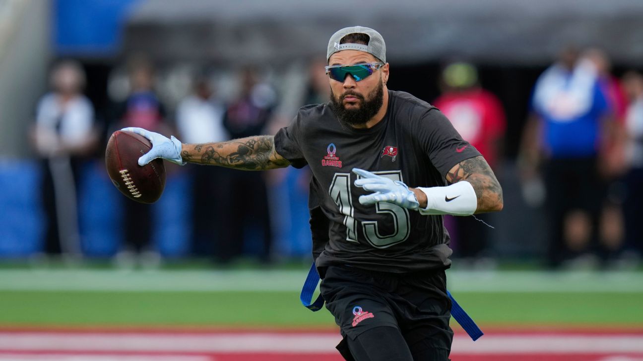 Mike Evans Aims to Break Jerry Rice's NFL Record with Hall of Famer's Blessing