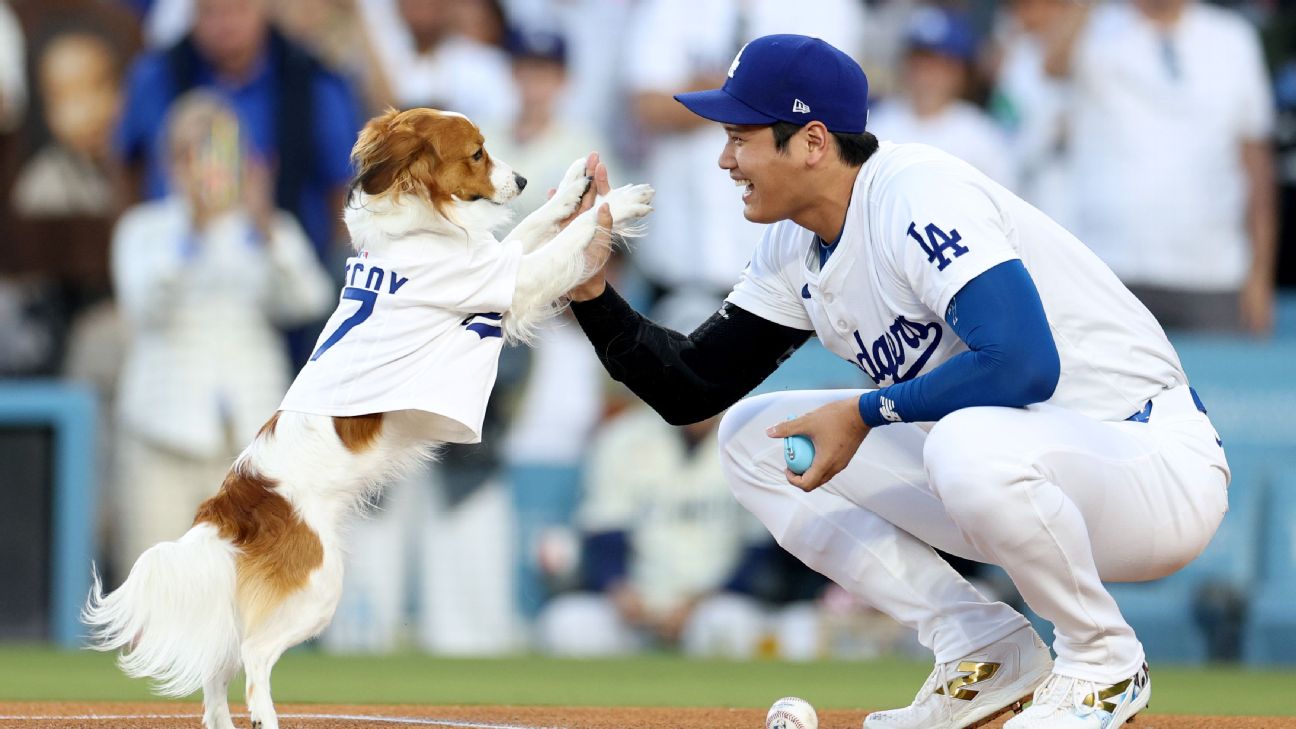 Shohei Ohtani's New Children's Book 'Decoy Saves Opening Day' Hits Shelves February 2026