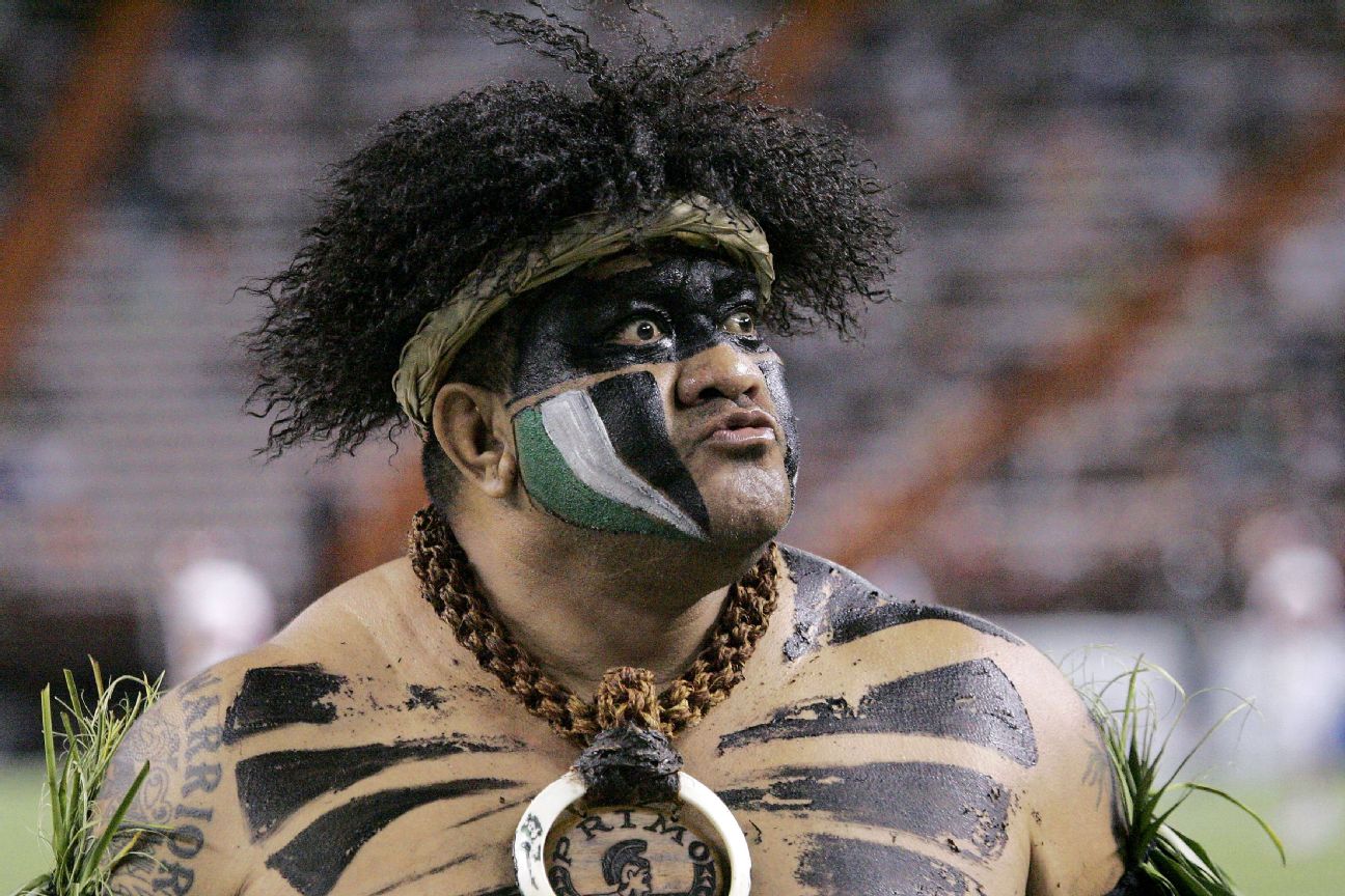Vili the Warrior [1296x864]