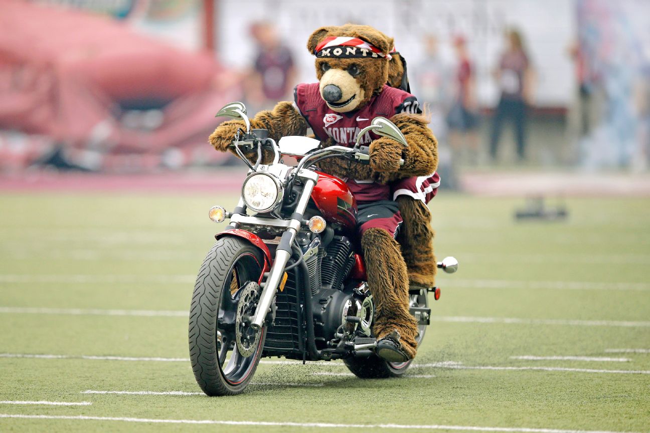 Montana mascot Monte  [1296x864]