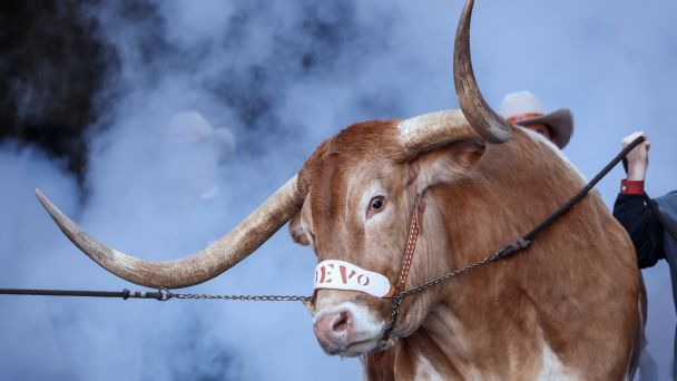 Bevo [608x342]