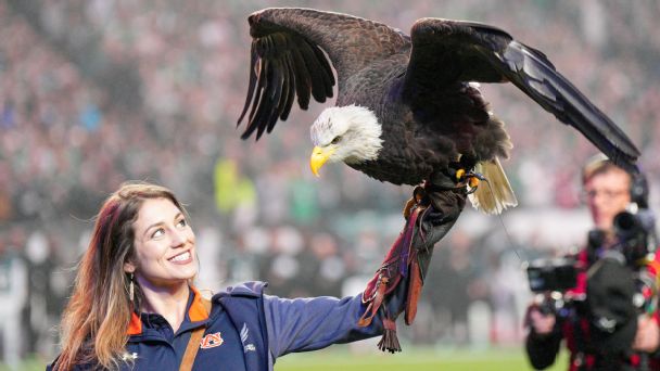 War Eagle [608x342]