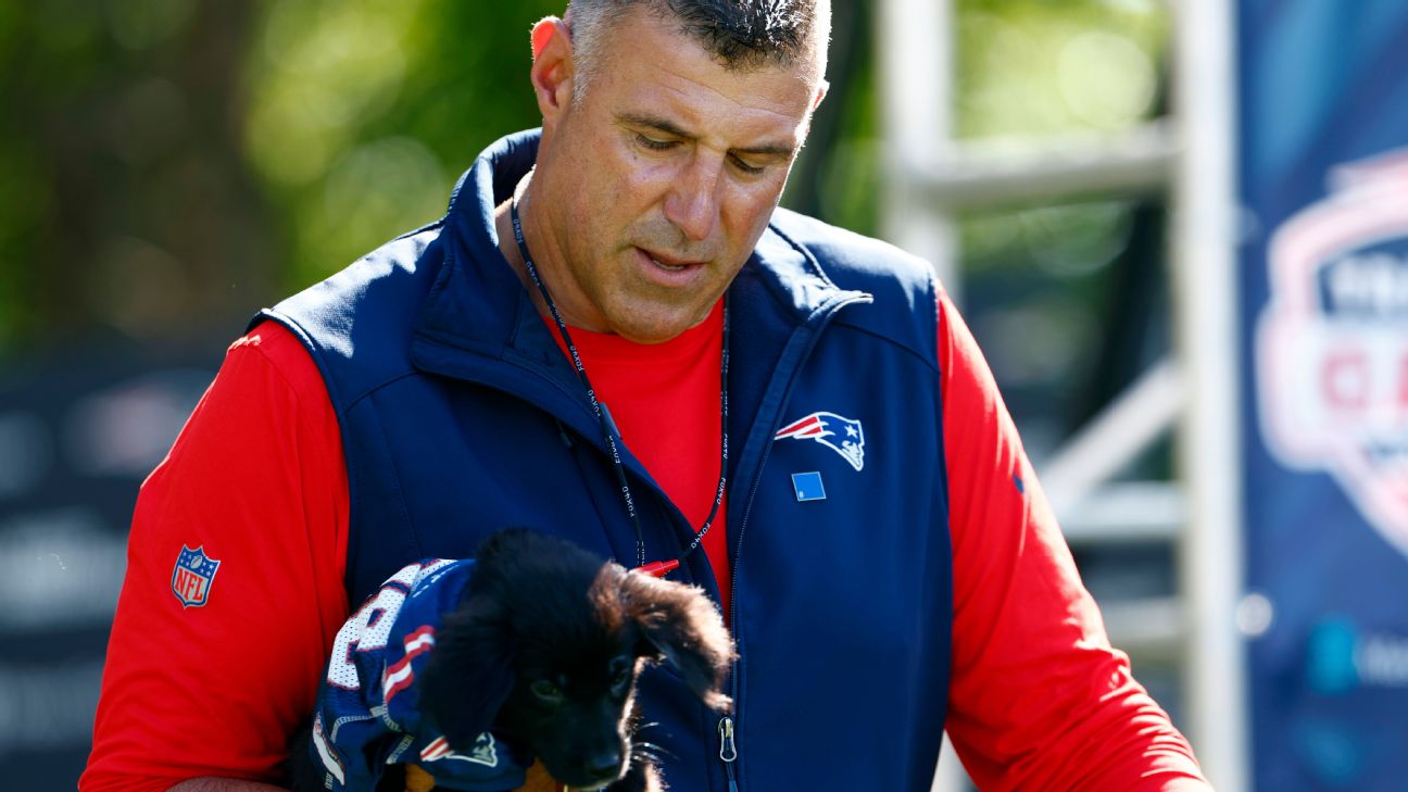 New England Patriots Score Big with Heartwarming Pet Adoption Event at Training Camp
