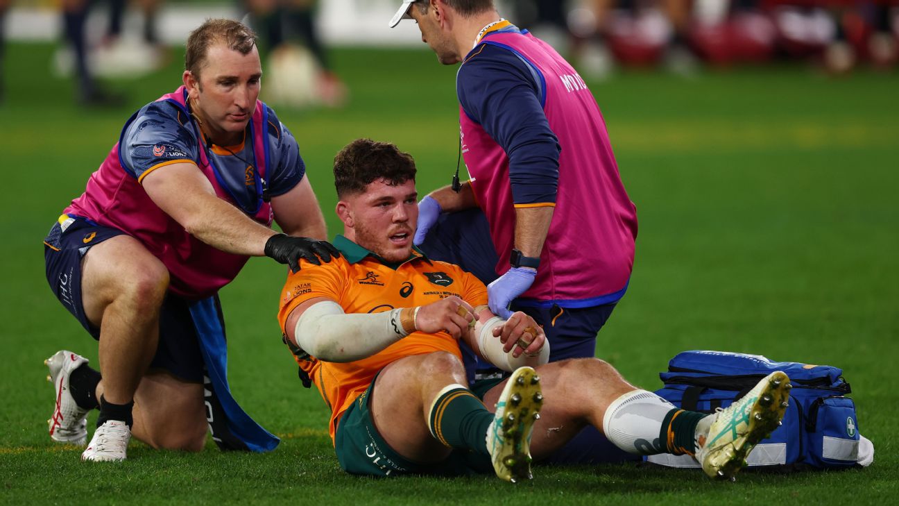 Carlo Tizzano Faces Online Abuse: Wallabies Coach Joe Schmidt Speaks Out