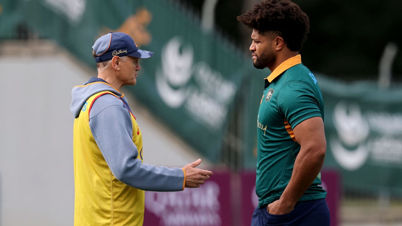 Wallabies Gear Up for Epic Showdown Against British and Irish Lions in Final Test