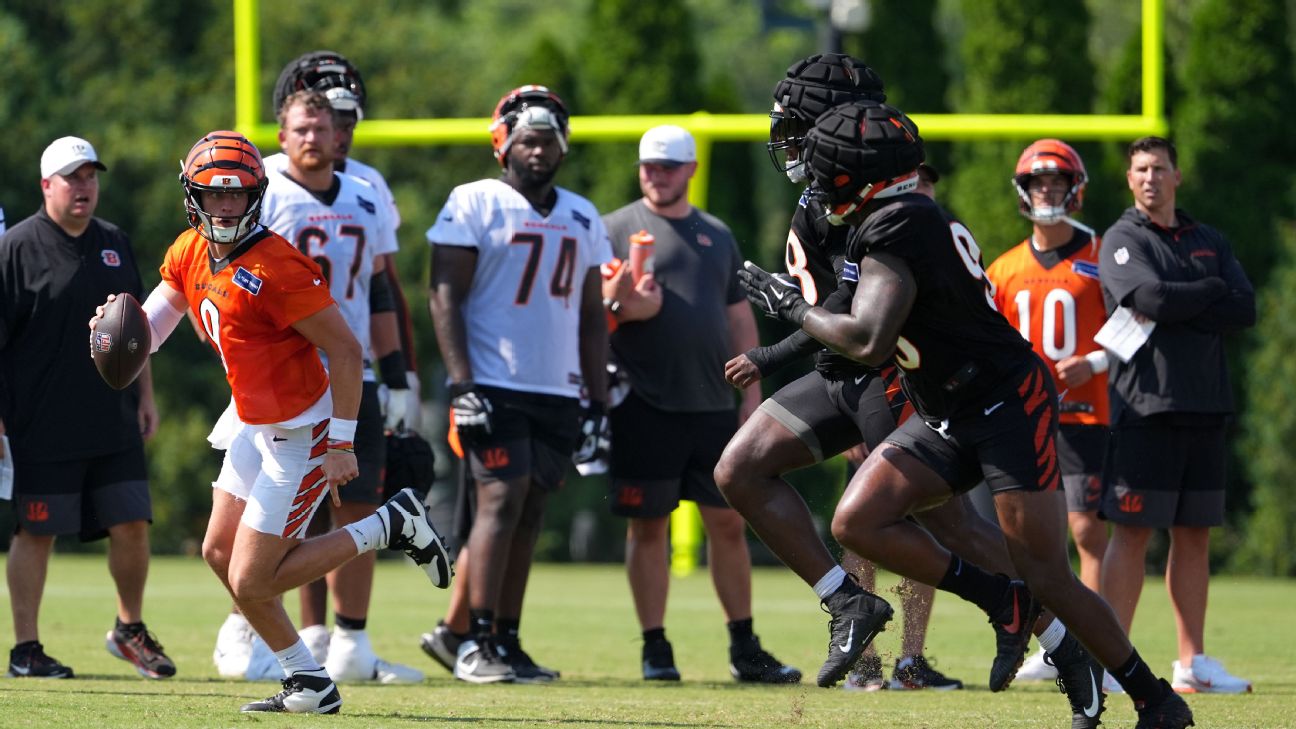 Cincinnati Bengals' Defensive Line: Building Bonds and Championship Dreams