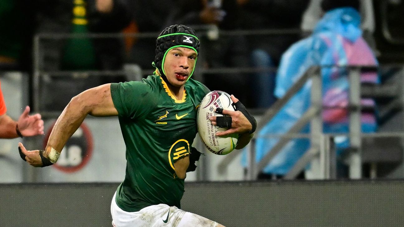 The Rugby Powerhouse: How Cape Winelands Shapes South Africa's Springboks