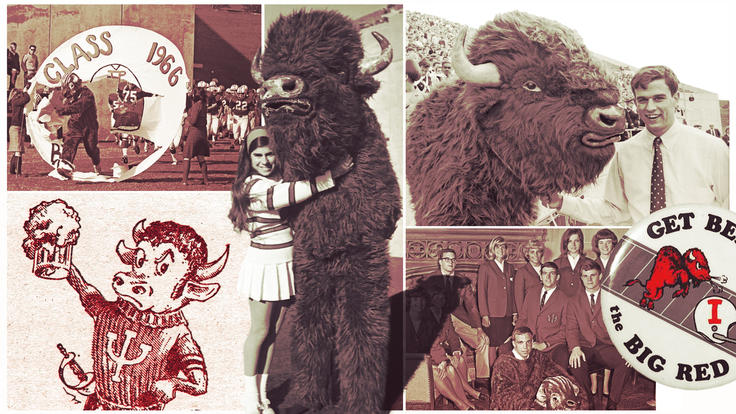 The Resurgence of Indiana's Bison Mascot: A 50-Year Journey Back to the Sidelines