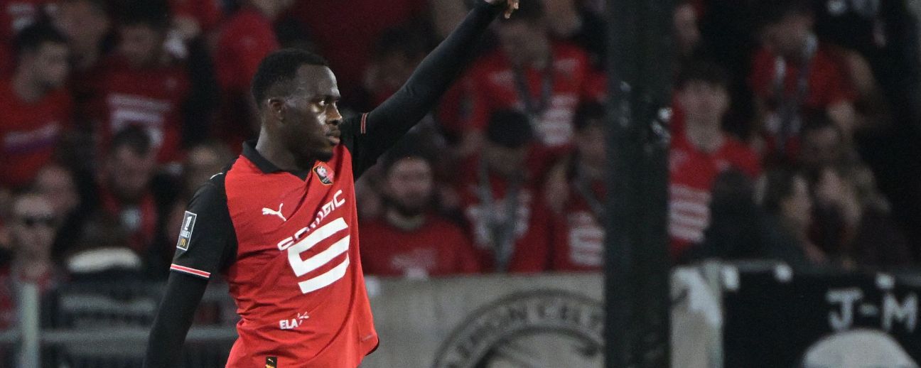 Acanthe et le Stade Rennais | Acanthe