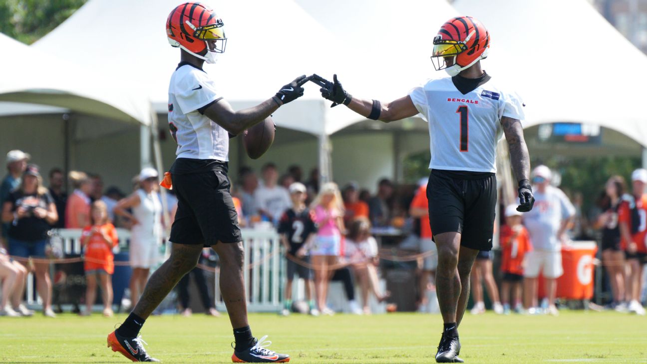 Why the Cincinnati Bengals’ Minimal Roster Changes Could Be the Key to Their 2025 Success