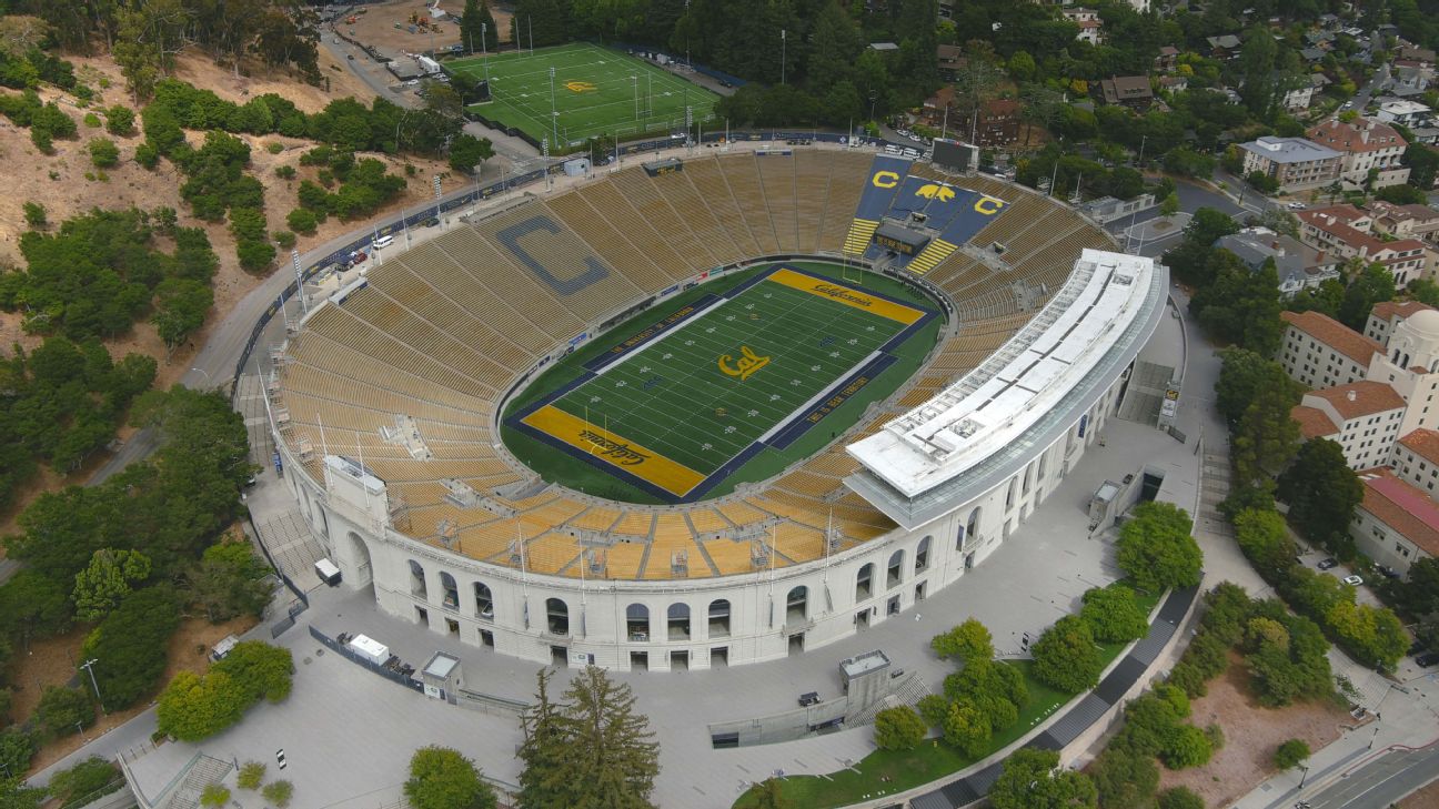 Cal Football Introduces 'The Black Bear' Section: A New Era for East Bay Football Fans