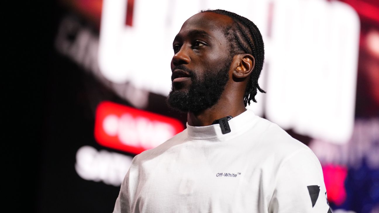 A dynamic and expressive silhouette