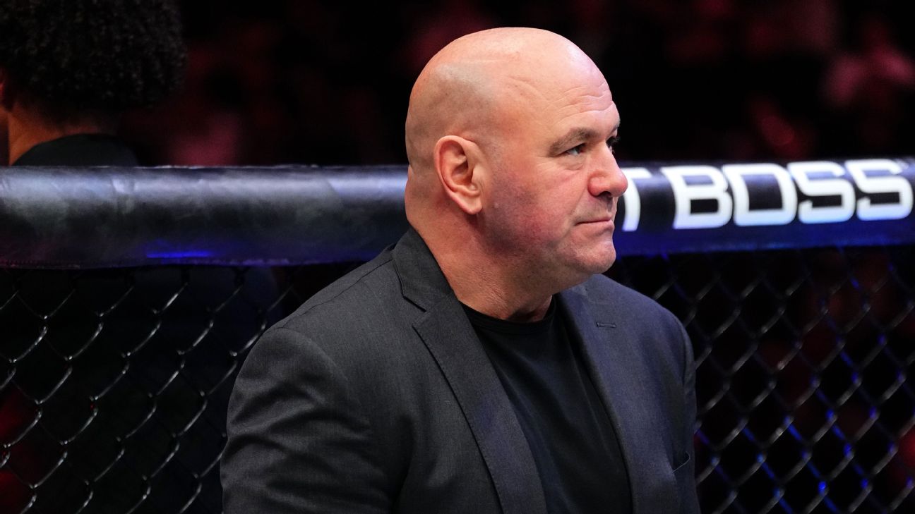 <a href="https://www.espn.com/mma/story/_/id/46985000/danis-banned-ufc-crowd-brawl-msg-white-says" target="_blank">White: Danis banned from UFC after MSG brawl</a>