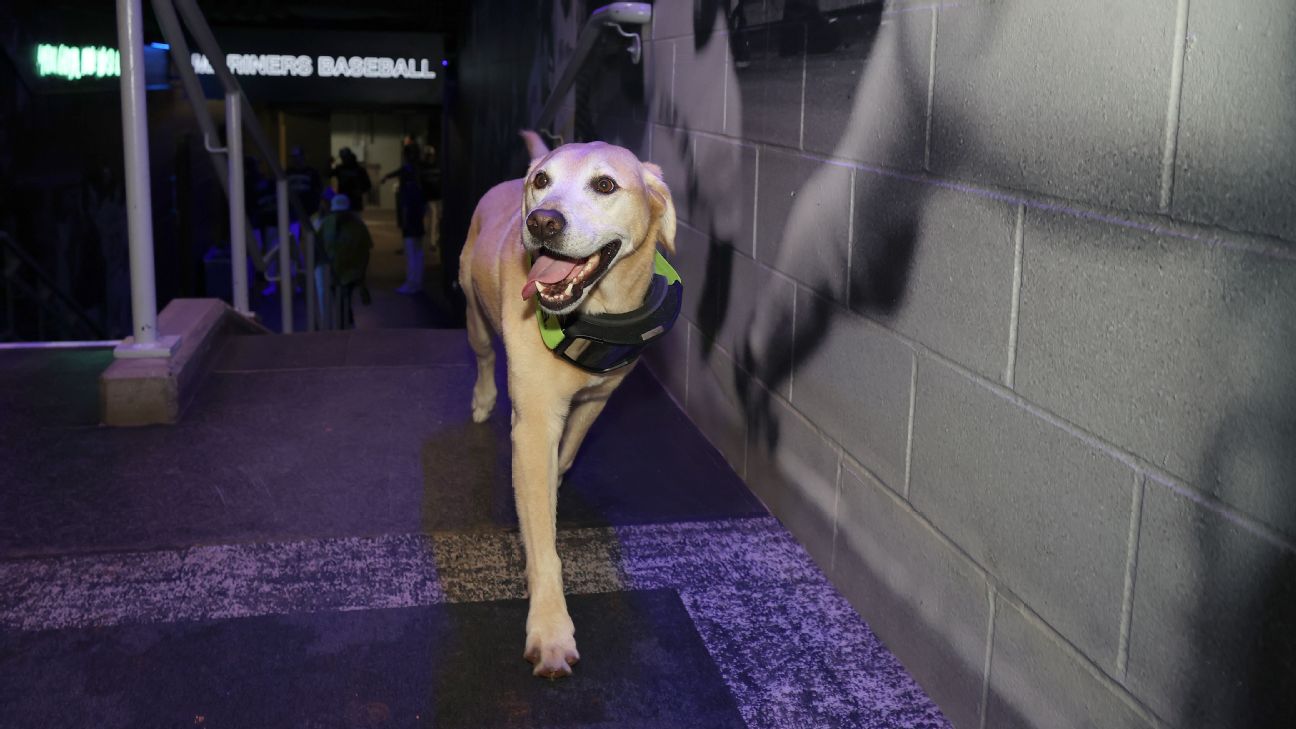 espn.com - Michael Rothstein - Dog days: Naylor says M's pooch eased arrival