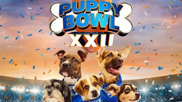 Puppy Bowl 2026 features Bad Bunny, Josh Allen-inspired pups