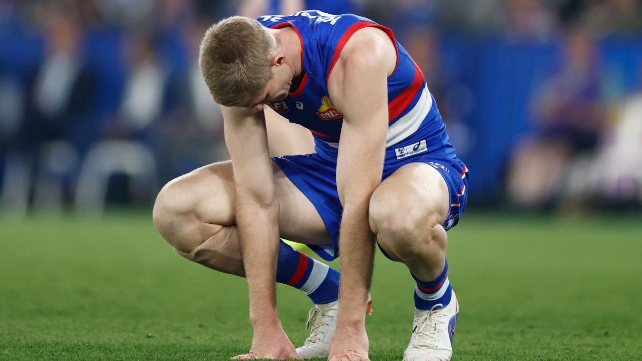 Stars sidelined as Dogs count cost of Bombers win