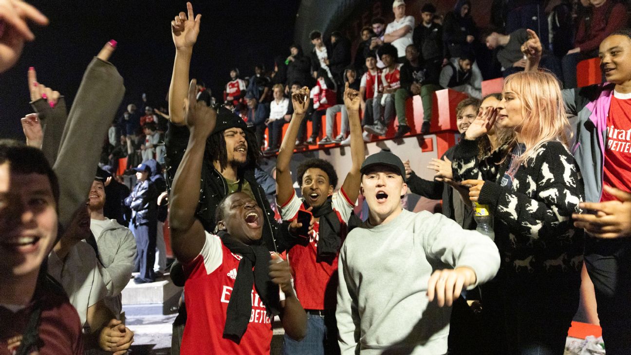 Arsenal fans to get public holiday? Fake news, says Botswana