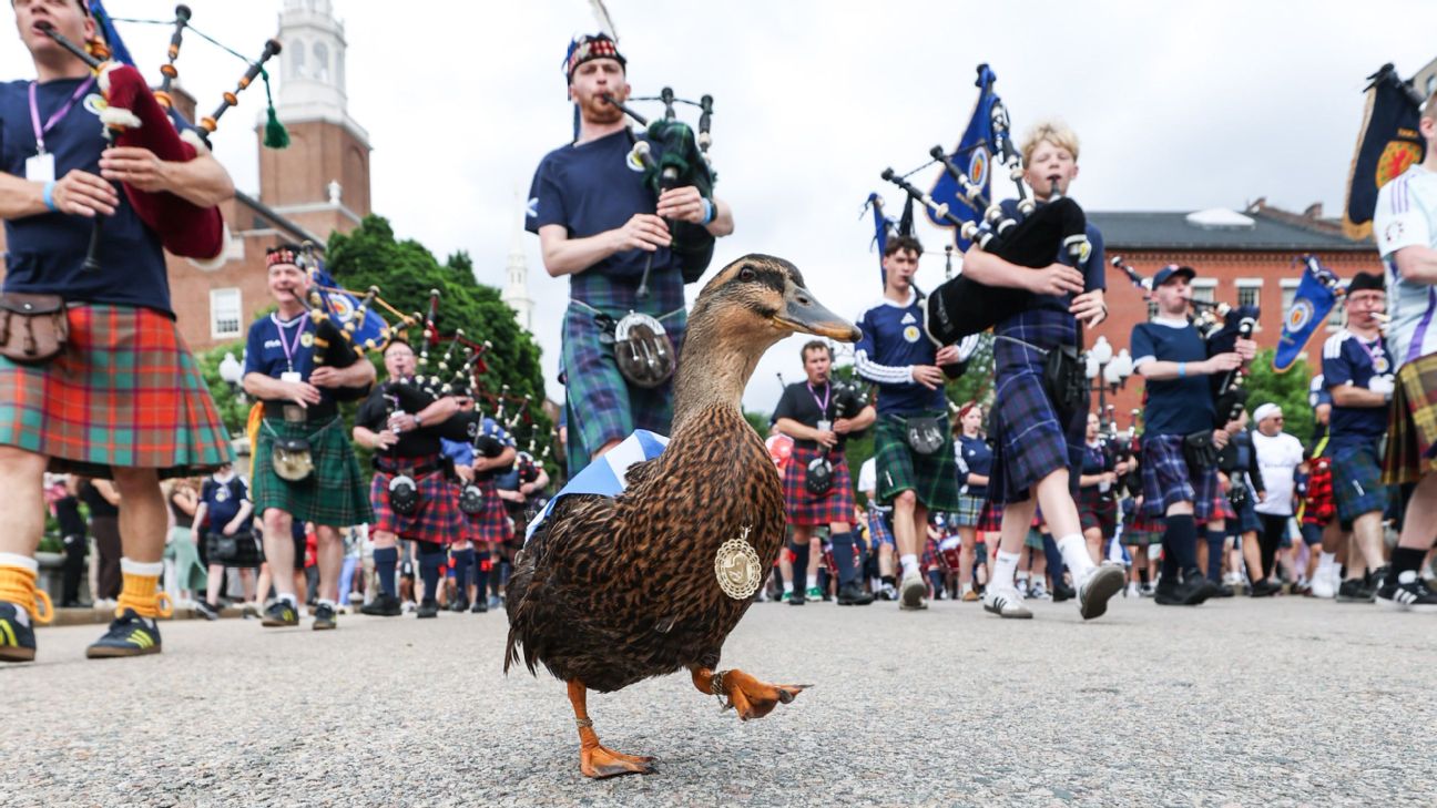 World Cup Daily: Scotland superfan Donny the Duck; USMNT, Brazil in action