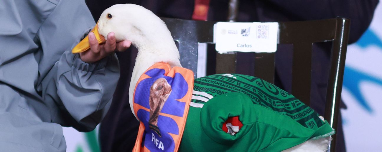 Ranking de momentos virales del Mundial: del pato Merlín al remo vikingo