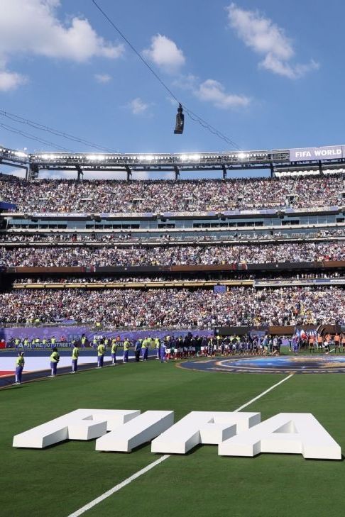 FIFA vende fragmentos del césped de final del Mundial a 450 dólares