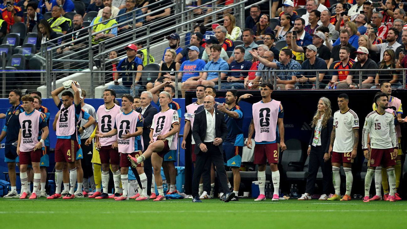 De la Fuente hails 'best team in the world' after Spain sink France