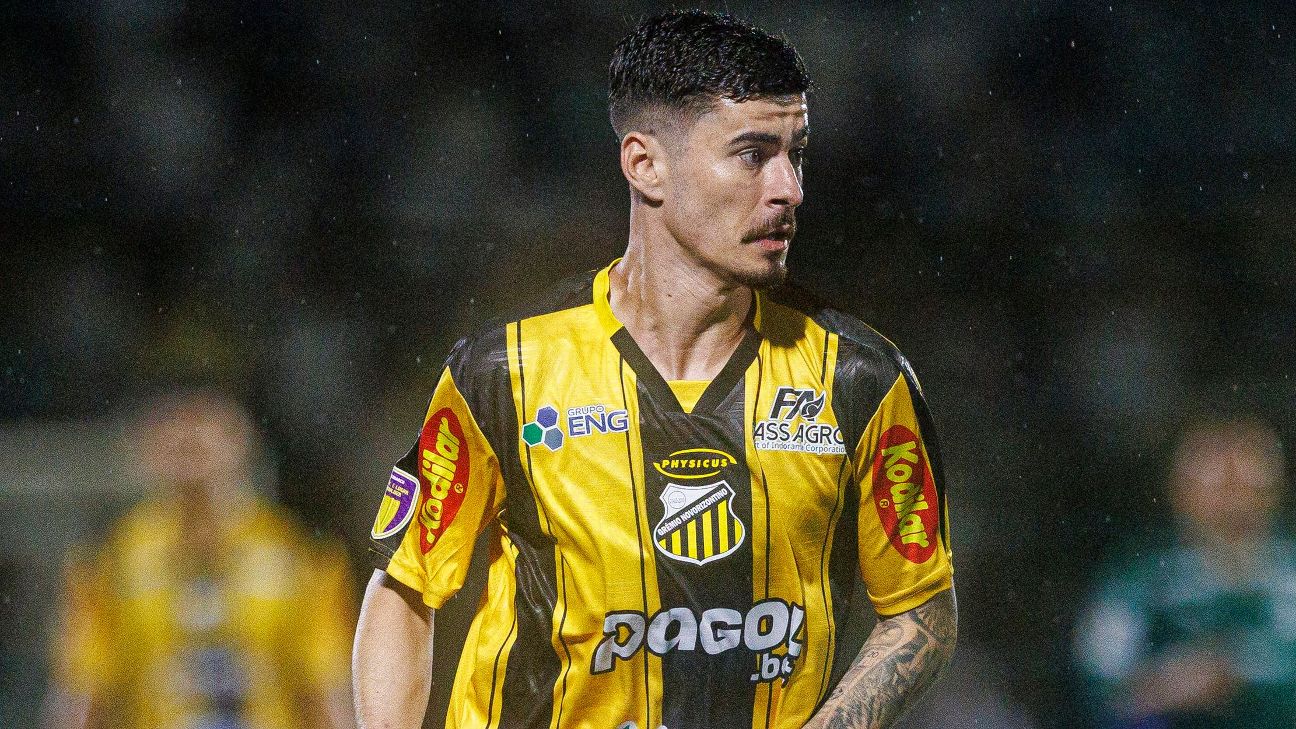Como Palmeiras pode ser 'pedra do sapato' no Novorizontino na Série B e o que assistir no Disney+