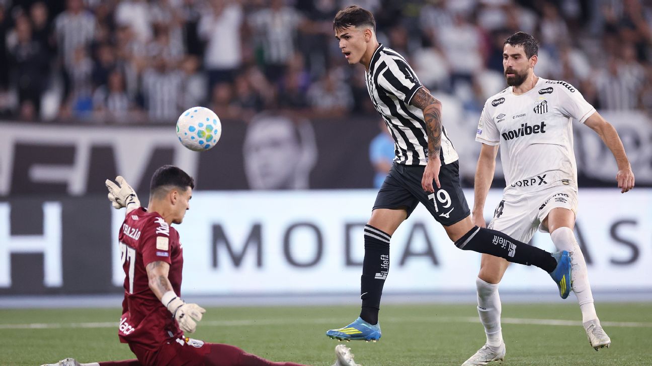 Botafogo aproveita falha bizarra da defesa do Santos e vence na retomada do Brasileirão
