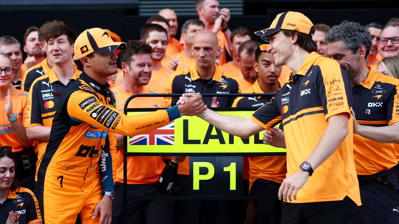 Stella hails 'harmony' between Norris and Piastri