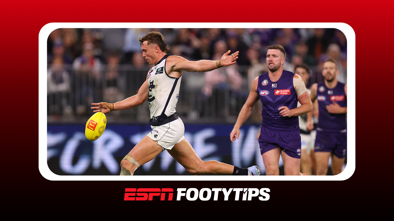 Article image accompanying Expert tips, best tips for Round 24 of the AFL on WagerUp Sports News.
