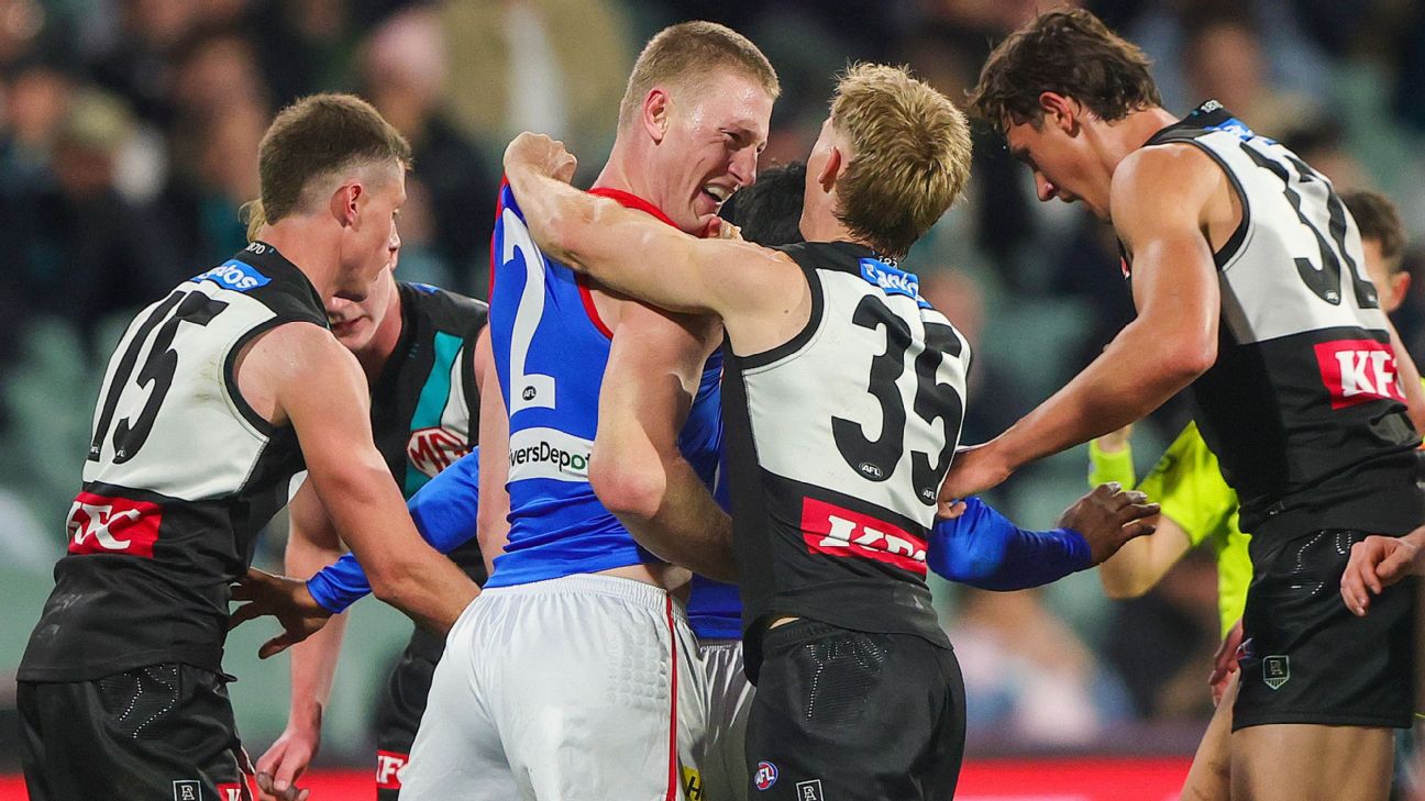 Joe Richards remonstrates with Jacob van Rooyen following his high hit on Aliir Aliir. — Article image accompanying Demons appeal forward's ban ahead of finals on WagerUp Sports News.