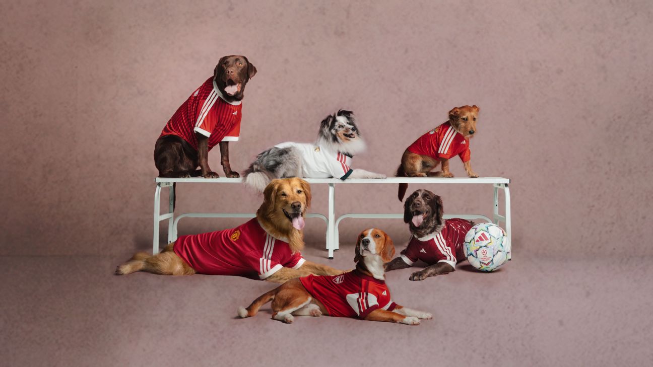 Footy for Fido: Adidas drops dog kits for 2026-27