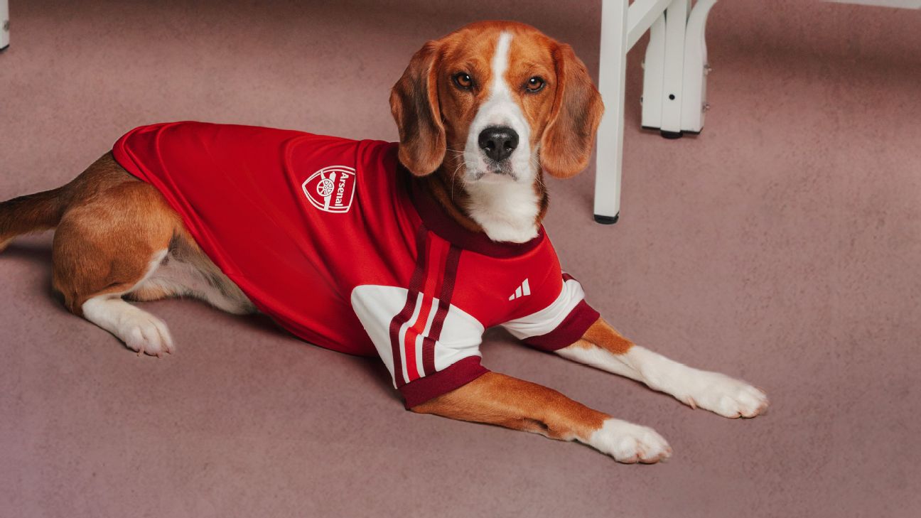 ชุดสุนัขลายสโมสรฟุตบอลจากคอลเลกชัน Adidas Clubs Pet Collection