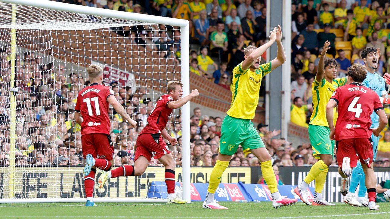 Aune Heggebo โดนแบน 2 นัด หลังทำประตูด้วยมือให้ West Brom ชนะ Norwich รูปประกอบข่าวฟุตบอล