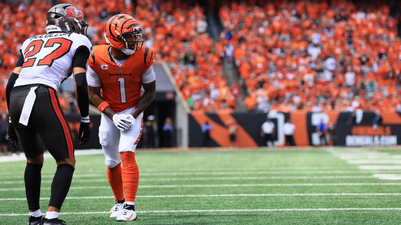 Ja'Marr Chase · published NFL game image