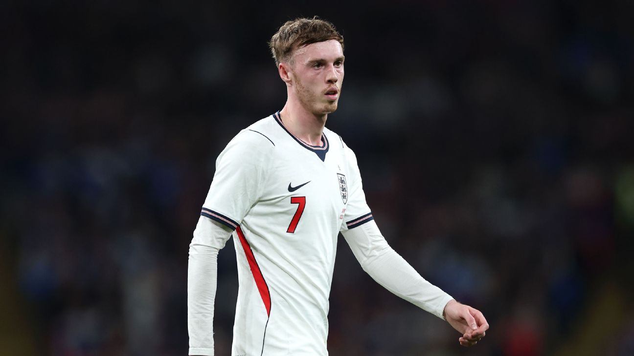 Article image accompanying Cole Palmer's England withdrawal a product of 'sick' system - PFA chief on WagerUp Sports News. Article image accompanying Cole Palmer's England withdrawal a product of 'sick' system - PFA chief on WagerUp Sports News.
