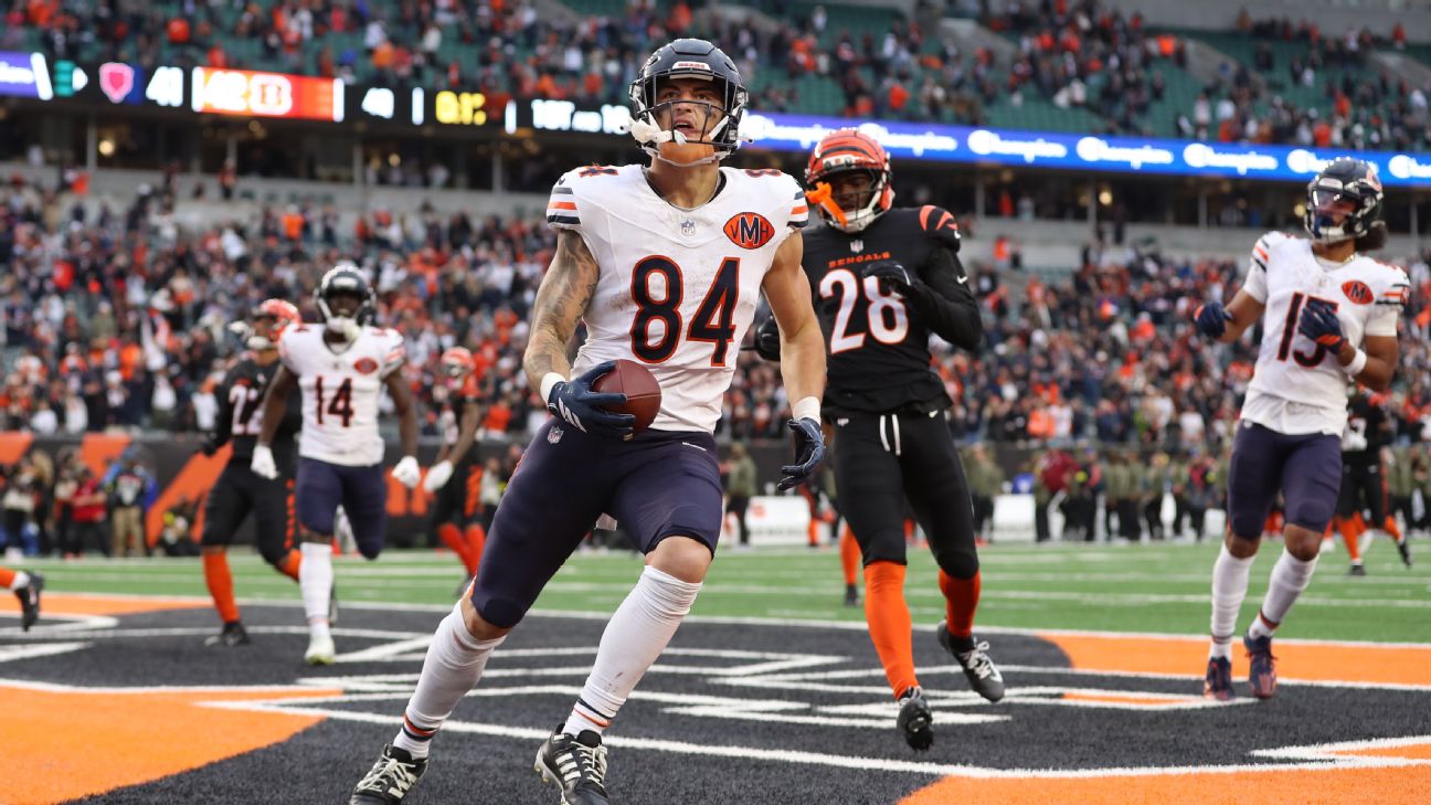 Colston Loveland led the Bears in receptions and receiving yards as a rookie, leading him to being the No. 3 TE taken in fantasy drafts this year. — Article image accompanying Where has Bears TE Colston Loveland been this season? on WagerUp Sports News. Colston Loveland led the Bears in receptions and receiving yards as a rookie, leading him to being the No. 3 TE taken in fantasy drafts this year. — Article image accompanying Where has Bears TE Colston Loveland been this season? on WagerUp Sports News.