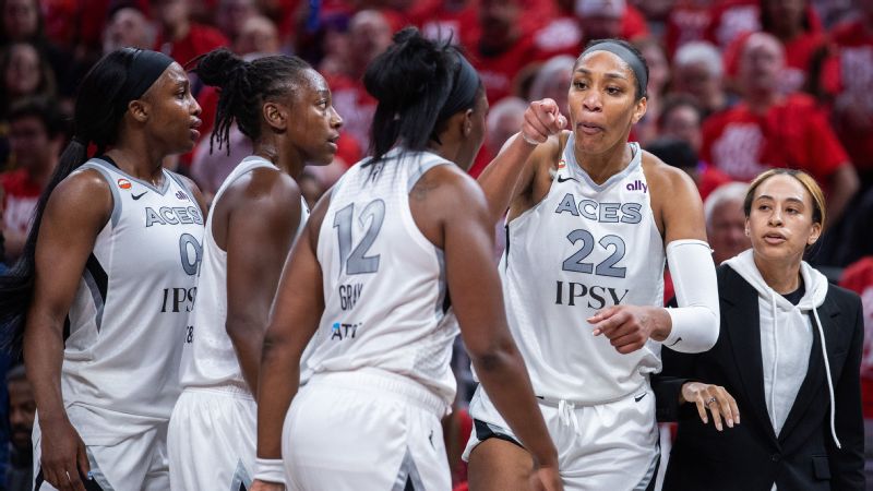 Wilson confronted a fan in the stands in Indiana, and the Aces managed just one more win before their season came to an end.