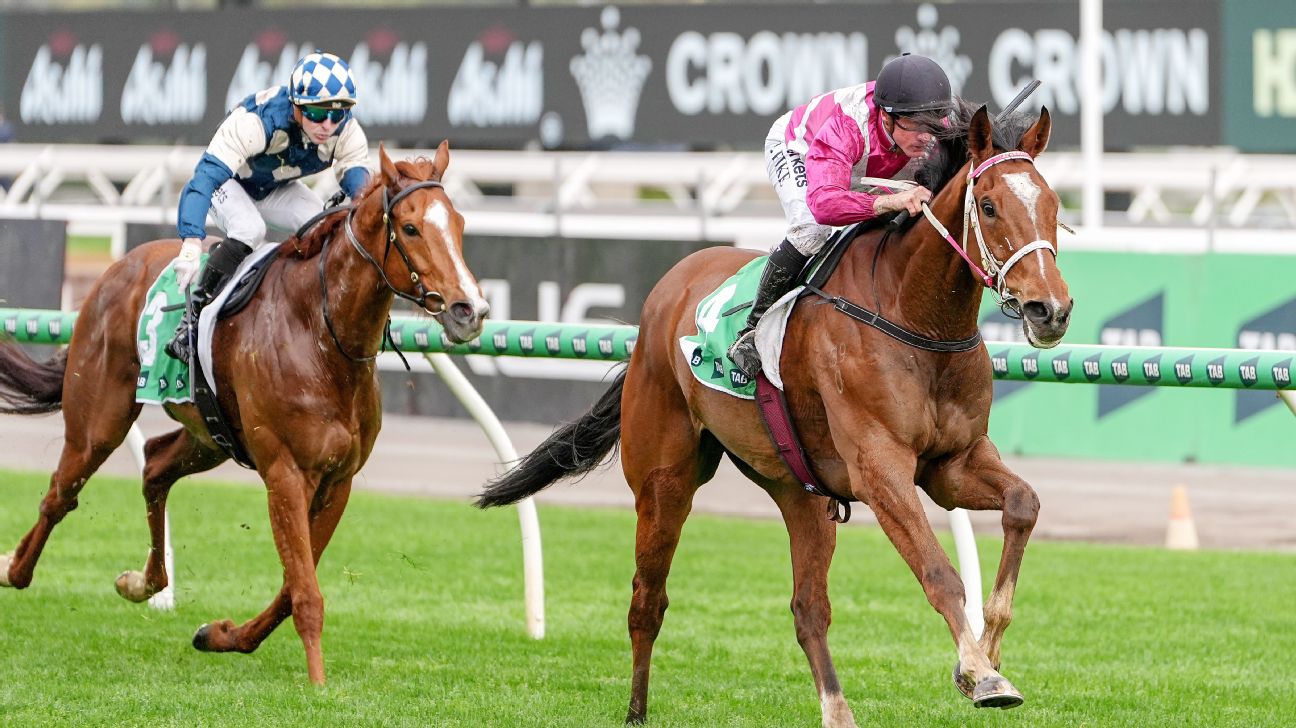 Article image accompanying 2026 Caulfield Cup preview: Ticks and knocks for every horse on WagerUp Sports News. Article image accompanying 2026 Caulfield Cup preview: Ticks and knocks for every horse on WagerUp Sports News.