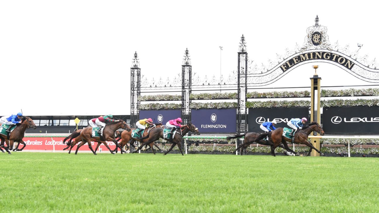 True Rebel ridden by Blake Shinn wins the Drummond Golf Vase at Flemington Racecourse on October 24, 2026. — Article image accompanying 2026 Victoria Derby preview: Ticks and knocks for every horse on WagerUp Sports News.