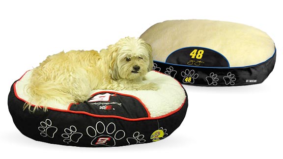 Sporty Pet Gear Guide - ESPN